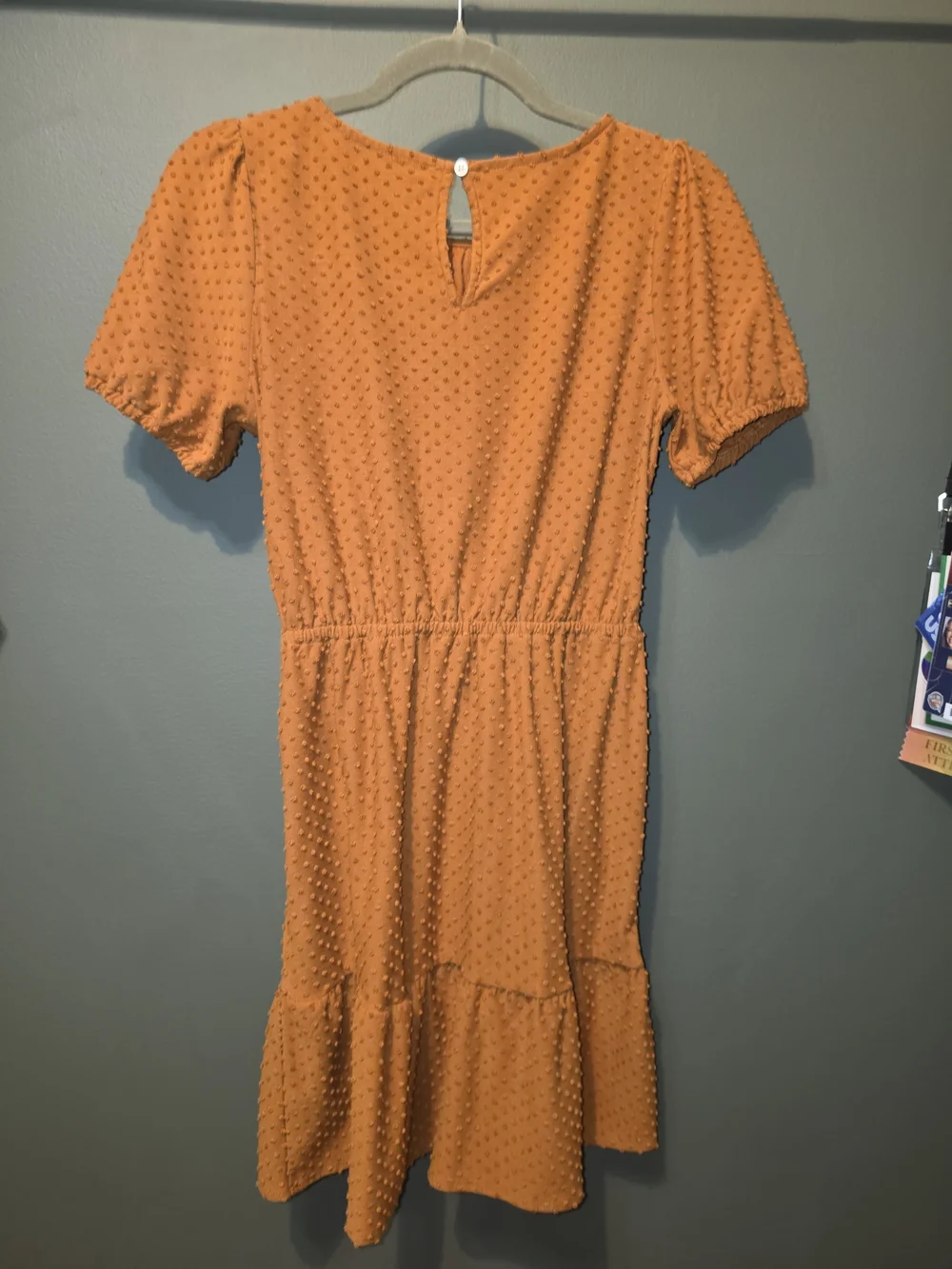 J. Crew Rust Orange Swiss Dot Midi Dress